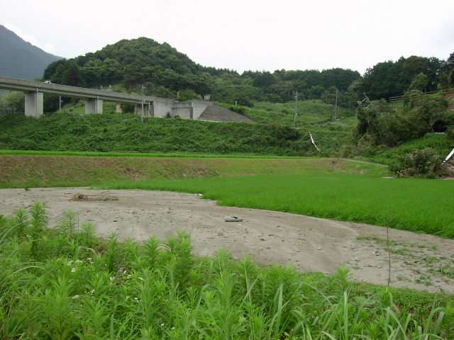 穂波町舎利蔵での水田への土砂堆積 ｜気象災害画像データベース